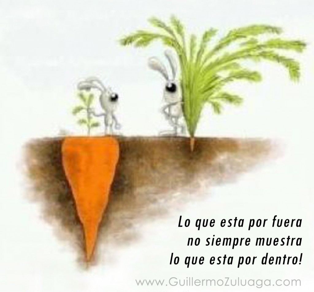 Lo que esta por fuera no siempre muestra lo que esta por dentro