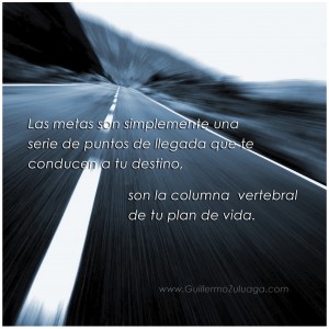 metas coumna vertebral de tu vida - Guillermo Zuluaga